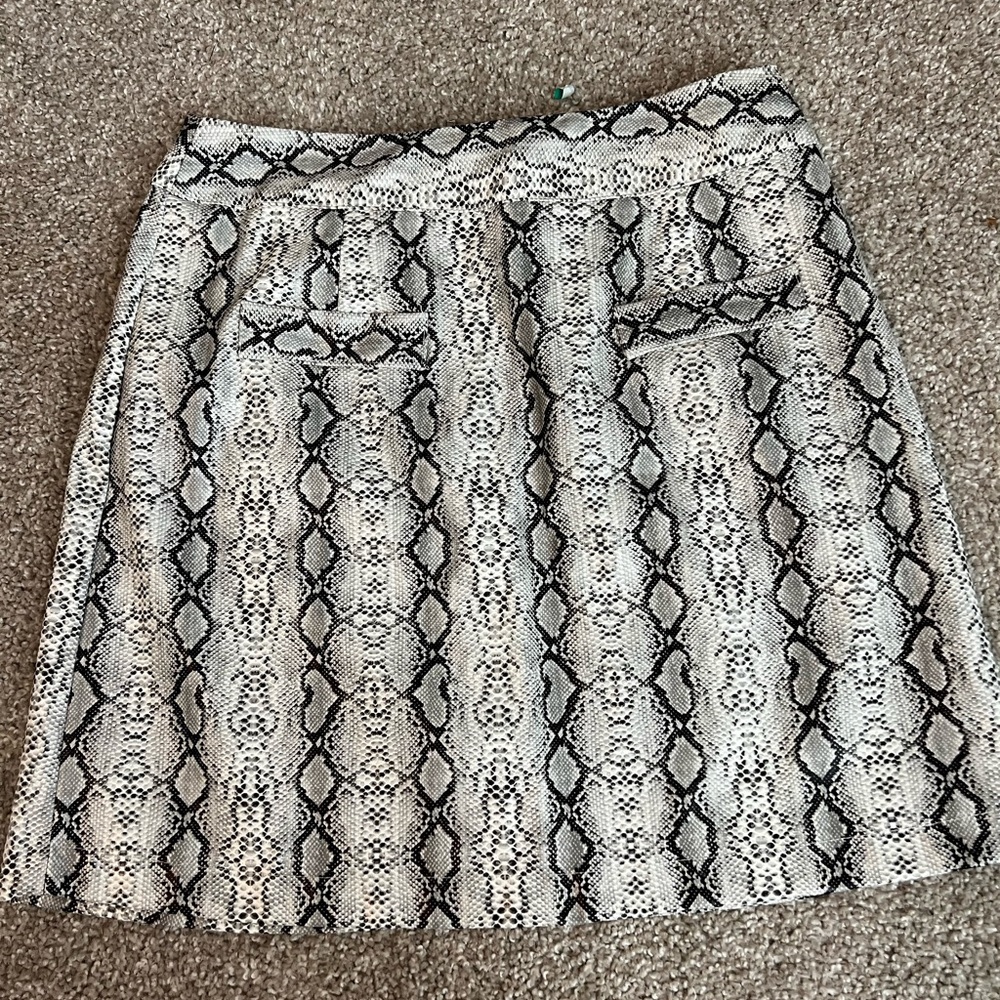 Snake Skin Skirt